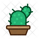 پیش‌نمایش فایل cactus-plant-5457294 از پک کاکتوس