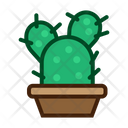پیش‌نمایش فایل cactus-plant-5457296 از پک کاکتوس