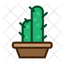 پیش‌نمایش فایل cactus-plant-5457299 از پک کاکتوس