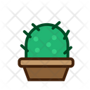 پیش‌نمایش فایل desert-plant-5457287 از پک کاکتوس
