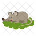 پیش‌نمایش فایل rat-61 از پک آیکون حیوان بانمک