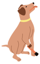 پیش‌نمایش فایل disabled-dog-with-leg-prosthesis-10259957 از پک افراد دارای توانایی پارا
