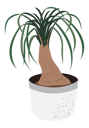 پیش‌نمایش فایل green-plant-10251861 از پک کسب‌وکار گیاه
