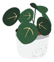 پیش‌نمایش فایل indoor-plant-10251863 از پک کسب‌وکار گیاه