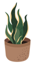 پیش‌نمایش فایل plant-10251862 از پک کسب‌وکار گیاه
