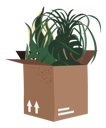 پیش‌نمایش فایل plant-delivery-10251867 از پک کسب‌وکار گیاه