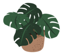 پیش‌نمایش فایل plant-nursery-10251864 از پک کسب‌وکار گیاه