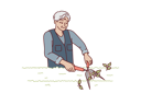 پیش‌نمایش فایل elderly-man-gardener-is-pruning-bushes-in-park-10598357 از پک فعالیت افراد