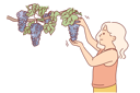 پیش‌نمایش فایل little-girl-plucks-grapes-from-branch-10616440 از پک فعالیت افراد
