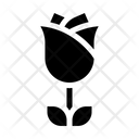 پیش‌نمایش فایل rose-2289701 از پک روز ولنتاین