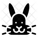 پیش‌نمایش فایل rabbit-2290310 از پک دامپزشکی