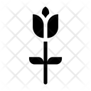 پیش‌نمایش فایل flower-2296891 از پک روز زنان
