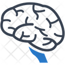 پیش‌نمایش فایل neurology-3583086 از پک تخصص های پزشکی