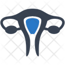 پیش‌نمایش فایل uterus-3583108 از پک تخصص های پزشکی