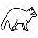 پیش‌نمایش فایل racoon-11299743 از پک حیوان