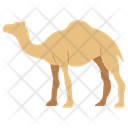 پیش‌نمایش فایل camel-11320075 از پک حیوان