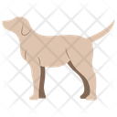 پیش‌نمایش فایل dog-11320072 از پک حیوان