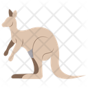 پیش‌نمایش فایل kangaroo-11320083 از پک حیوان