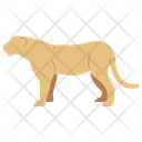پیش‌نمایش فایل lioness-11320092 از پک حیوان