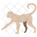 پیش‌نمایش فایل monkey-11320091 از پک حیوان