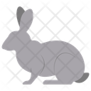 پیش‌نمایش فایل rabbit-11320079 از پک حیوان
