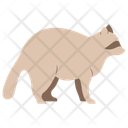 پیش‌نمایش فایل racoon-11320094 از پک حیوان
