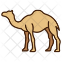 پیش‌نمایش فایل camel-11320102 از پک حیوان