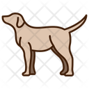 پیش‌نمایش فایل dog-11320099 از پک حیوان
