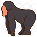 پیش‌نمایش فایل gorilla-11320108 از پک حیوان