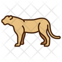 پیش‌نمایش فایل lioness-11320119 از پک حیوان
