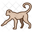 پیش‌نمایش فایل monkey-11320118 از پک حیوان