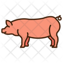 پیش‌نمایش فایل pig-11320101 از پک حیوان