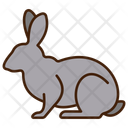 پیش‌نمایش فایل rabbit-11320106 از پک حیوان
