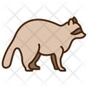 پیش‌نمایش فایل racoon-11320121 از پک حیوان