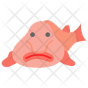 پیش‌نمایش فایل blobfish-11351840 از پک ماهی