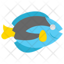 پیش‌نمایش فایل blue-tang-11351841 از پک ماهی