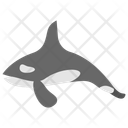 پیش‌نمایش فایل orca-11351863 از پک ماهی