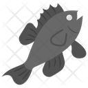 پیش‌نمایش فایل sea-bass-11351857 از پک ماهی