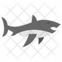 پیش‌نمایش فایل shark-11351858 از پک ماهی