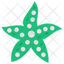 پیش‌نمایش فایل star-11351864 از پک ماهی