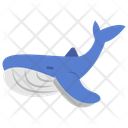پیش‌نمایش فایل whale-11351861 از پک ماهی
