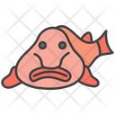 پیش‌نمایش فایل blobfish-11351867 از پک ماهی