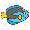پیش‌نمایش فایل blue-tang-11351868 از پک ماهی