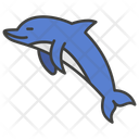 پیش‌نمایش فایل dolphin-11351872 از پک ماهی