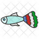 پیش‌نمایش فایل guppy-11351876 از پک ماهی