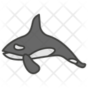 پیش‌نمایش فایل orca-11351890 از پک ماهی