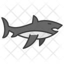 پیش‌نمایش فایل shark-11351885 از پک ماهی