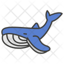پیش‌نمایش فایل whale-11351888 از پک ماهی