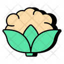 پیش‌نمایش فایل cauliflower-9405388 از پک فست فود و سبزیجات