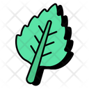 پیش‌نمایش فایل spinach-9405365 از پک فست فود و سبزیجات